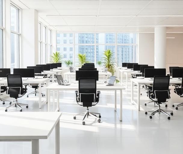 Designing Workspaces That Inspire
